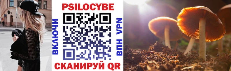 Псилоцибиновые грибы мицелий  Сосновоборск 
